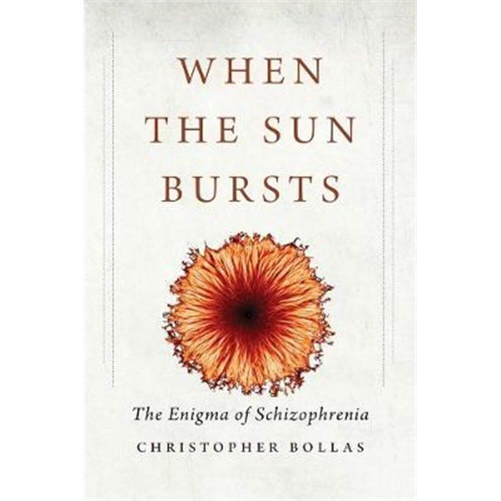 When the Sun Bursts (Hardback) - Christopher Bollas